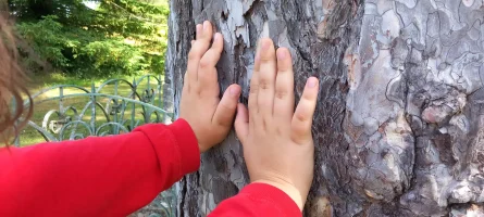 psychopedagogie methode 3